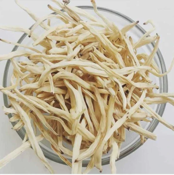 Premium Safed Musli Root & Powder